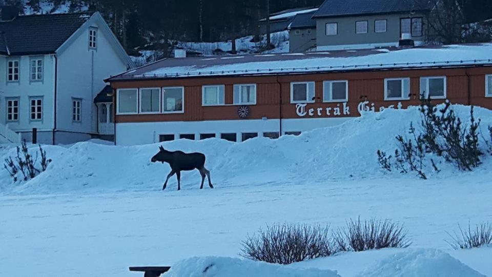Terrak Gjestegard Экстерьер фото
